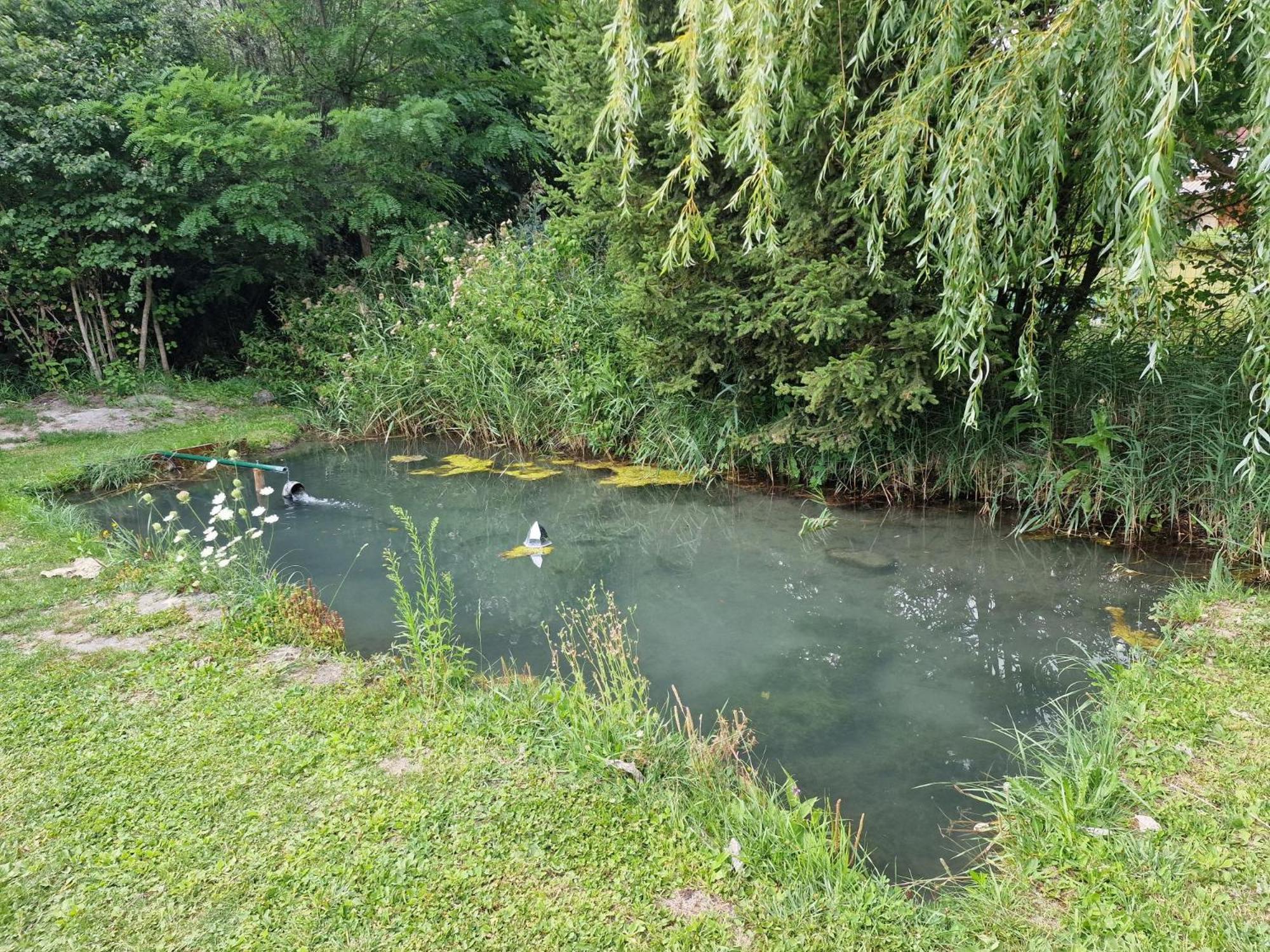 Chambre Aux Gorges De Daluis 吉洛梅 外观 照片